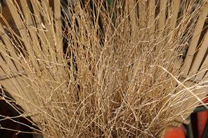 自由が丘で見つかる！証明写真の撮影と仕上がりを徹底比較2025年最新ガイド